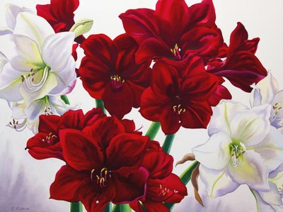 Rød og hvit amaryllis, 2008 (wc på papir) av Christopher Ryland