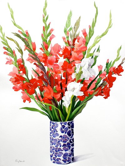 Rød og hvit Gladioli (akvarell på papir) av Christopher Ryland