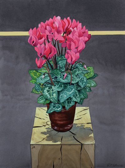 Still Life Cyclamen (akvarell på papir) av Christopher Ryland