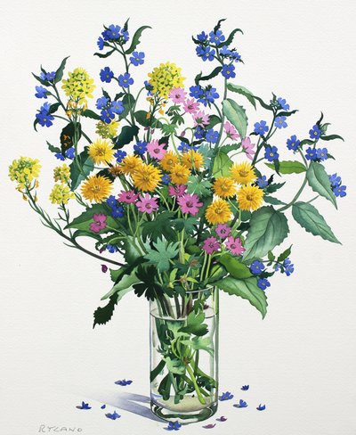 Ville blomster med Alkanet, 2021 (akvarell på papir) av Christopher Ryland