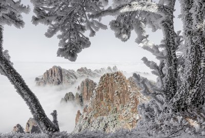  av Chuanxu Ren