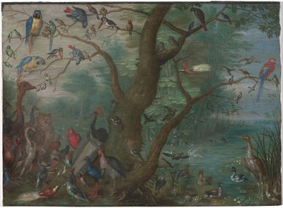 Konsert av fugler av Circle of Jan van Kessel the Elder