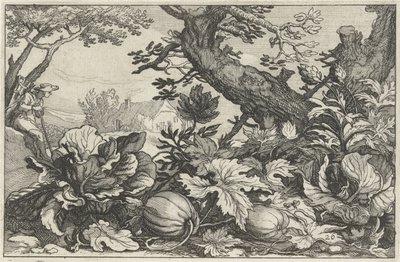 Landskap med gresskar og kull Landskap med gårder (serietittel) av Claes Jansz. Visscher (II)