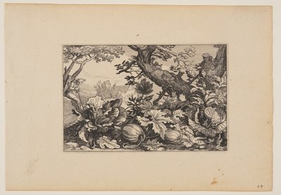  av Claes Jansz. Visscher
