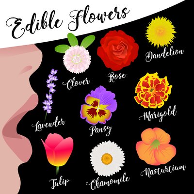 Spiselige blomster av Claire Huntley