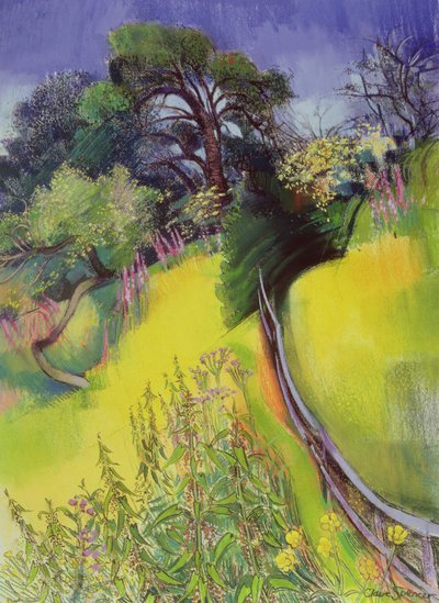 Midtsommer av Claire Spencer