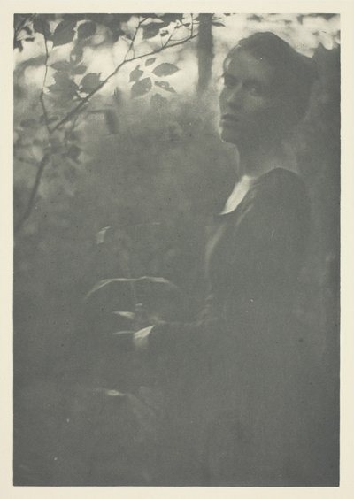 Edge of Woods av Clarence H. White