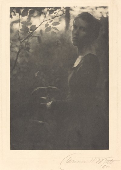 Edge of the Woods, kveld av Clarence H. White