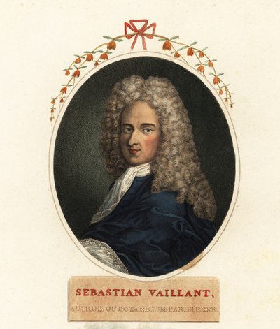 Portrett av Sebastian Vaillant, fransk botaniker av Claude Aubriet