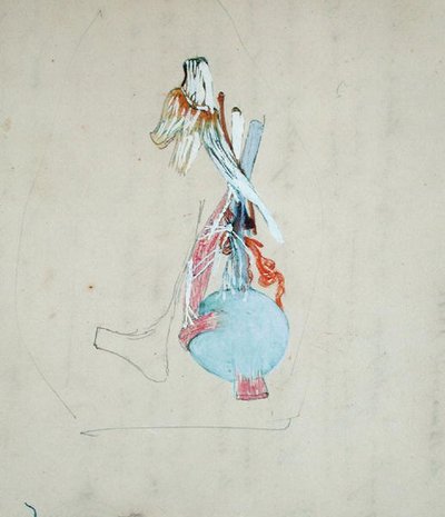 Nervesystemet i hodet til en katt, 25. mai 1842 (blyant og akvarell på papir) av Claude Bernard
