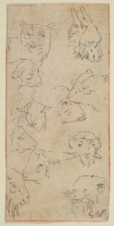 Studie av dyrehoder.n.d. av Claude Gillot