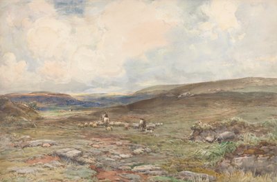 Myrland med sauer og gjeter av Claude Hayes