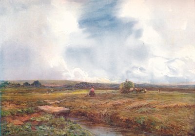 The Hayfield, 1872-1906, 1906. av Claude Hayes
