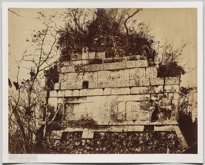 Sirkuspalasset i Chichen-Itza (basrelieff av tigre) av Claude Joseph Désiré Charnay