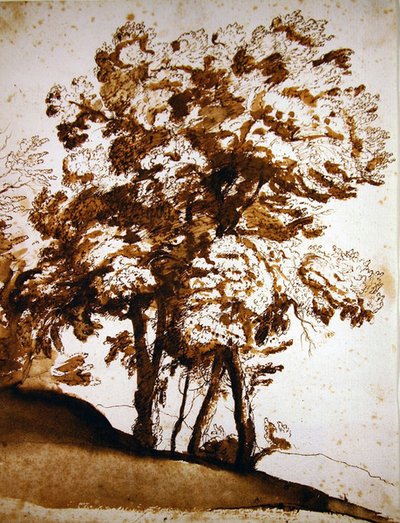 En gruppe trær i sollys (penn og blekk og vask på papir) av Claude Lorrain