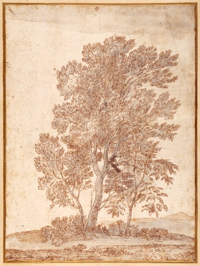 Tre trær (penn og brunt blekk med grå vask på papir) av Claude Lorrain