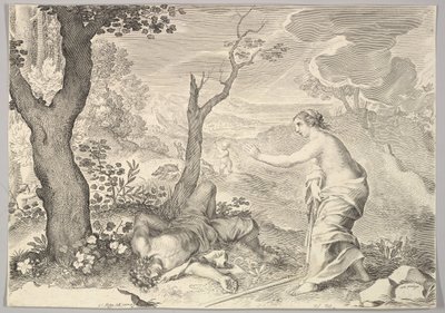 Adonis død. av Claude Mellan