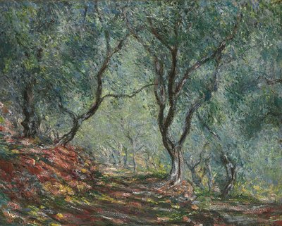 Olivenlund i Moreno-hagen, 1884 av Claude Monet
