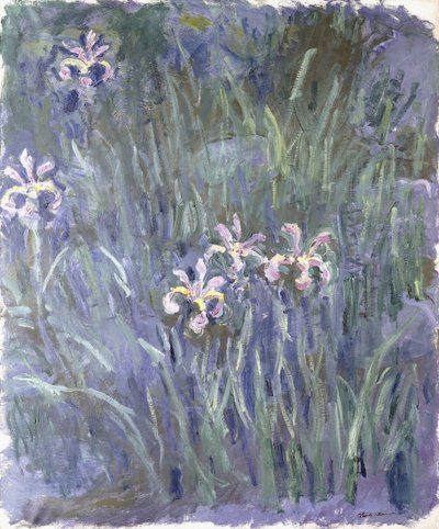 Iris, ca. 1914-1917 av Claude Monet
