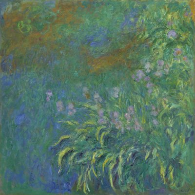 Iriser av Claude Monet