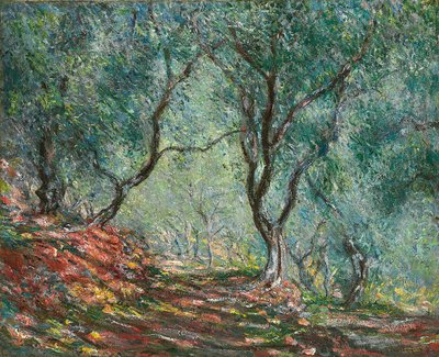 Oliventrær i Moreno-hagen; Olivenlund i Moreno-hagen, 1884 av Claude Monet