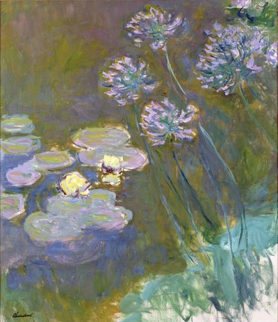 Vannliljer og Agapanthus av Claude Monet