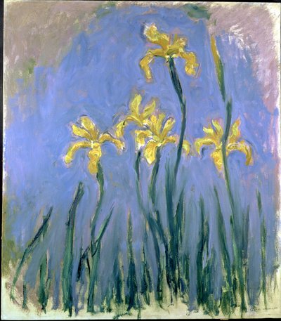 gule iris; Les Iris Jaunes, ca. 1918-1925 (olje på lerret) av Claude Monet