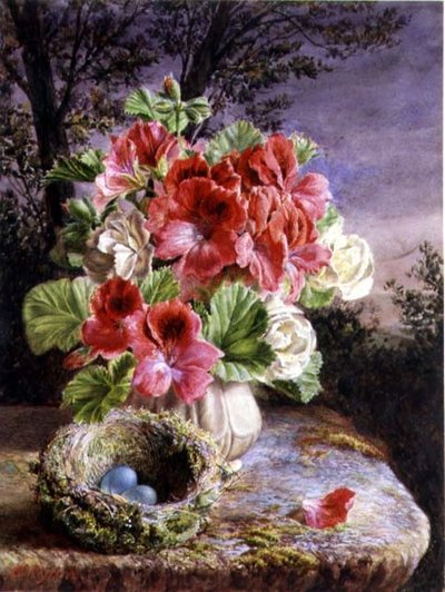 Gloxinia og fugleredet av Claude Ryan
