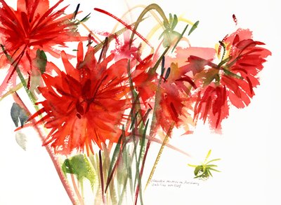 Dahliaer, 2002 (akvarell) av Claudia Hutchins Puechavy