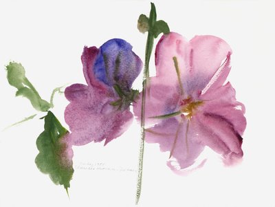 Stokroser, 1988 (akvarell) av Claudia Hutchins Puechavy