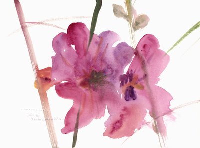 Stokroser, 1988 (akvarell) av Claudia Hutchins Puechavy