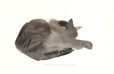 Sovende katt, 1985 (akvarell) av Claudia Hutchins Puechavy