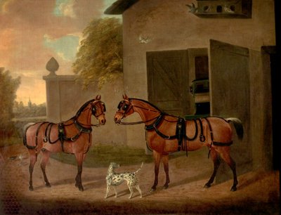 Vogner, hester og hunder av Clifton Tomson