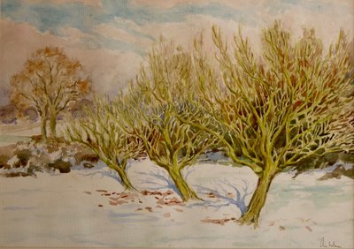 Frukthagen, januarsol, 2000 (akvarell) av Clive Wilson