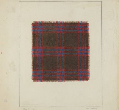 Pledd hjemmespunnet av Clyde L. Cheney