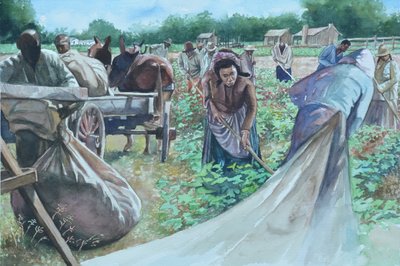 Tilbakebrytende, 2010 av Colin Bootman
