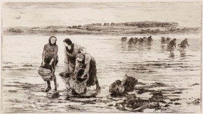 Blåskjellsamlerne av Colin Hunter