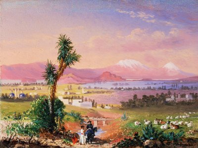 Utsikt over Mexico by av Conrad Wise Chapman