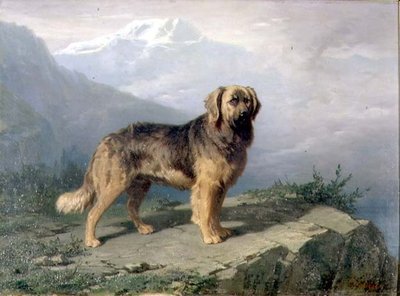 En mastiff i et alpint landskap av Conradyn Cunaeus