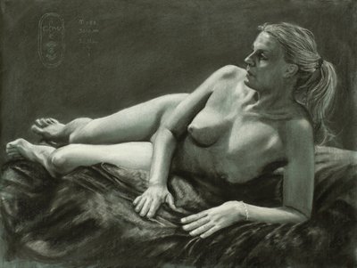  av Corné Akkers