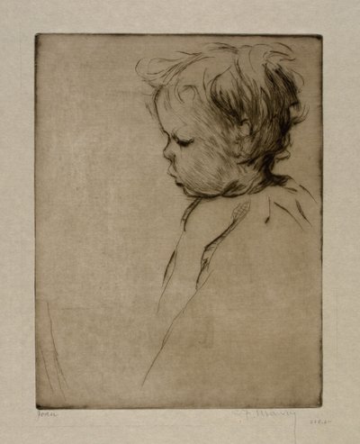  av Cornelia F. Maury
