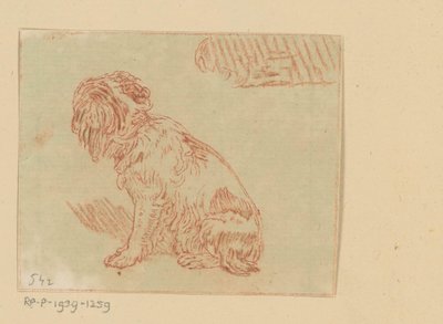 sittende hund av Cornelis Brouwer (possibly)