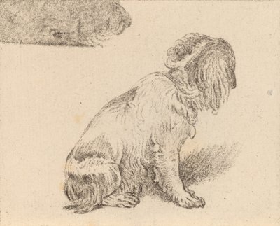 Sittende hund, 1777. av Cornelis Brouwer