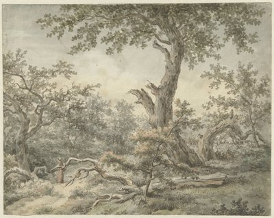 skoglandskap av Cornelis Buys