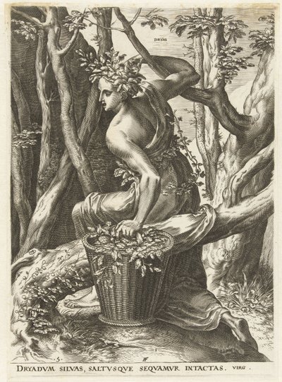 Dryas (tittel på objekt) Gudinner og nymfer (serietittel) av Cornelis Cort