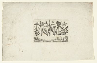 Rad med blomster over landskapet Blomster og landskap (serietittel) av Cornelis Danckerts (I)