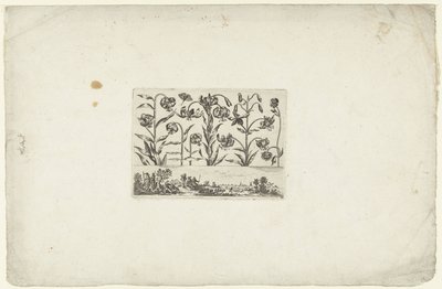 Rad med blomster over landskapet Blomster og landskap (serietittel) av Cornelis Danckerts (I)