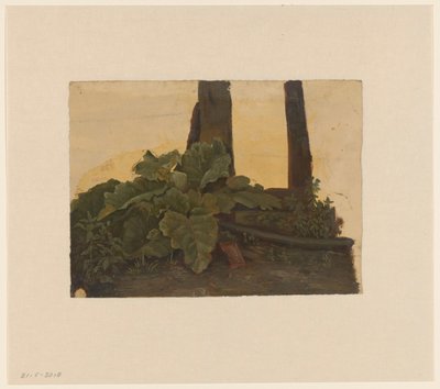 Planter ved foten av en trestamme av Cornelis Johannes de Vogel
