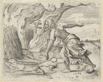 Samson setter fyr på filistrenes kornåker History of Samson (serietittel) av Cornelis Massijs
