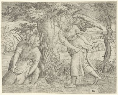Tobias og fisken History of Tobias (serietittel) av Cornelis Massijs